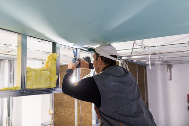 Best Affordable Insulation Services  in USA